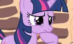 My Little Pony Fim Questions
