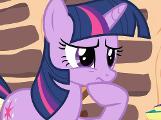 My Little Pony Fim Questions