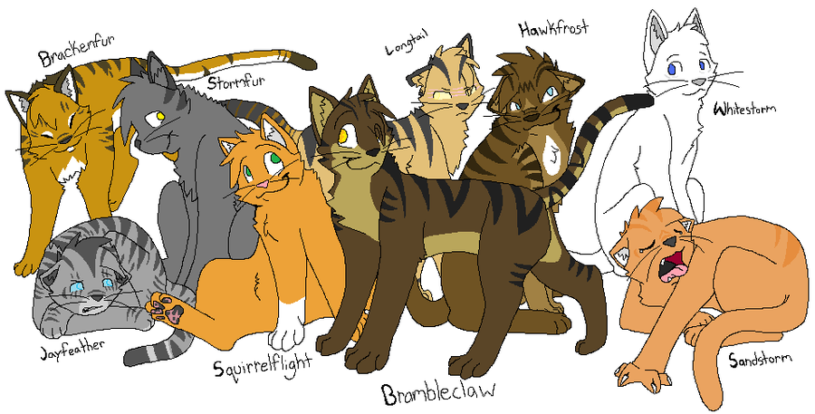 Warrior cats Warrior cats