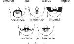 What type of mustache is your type?