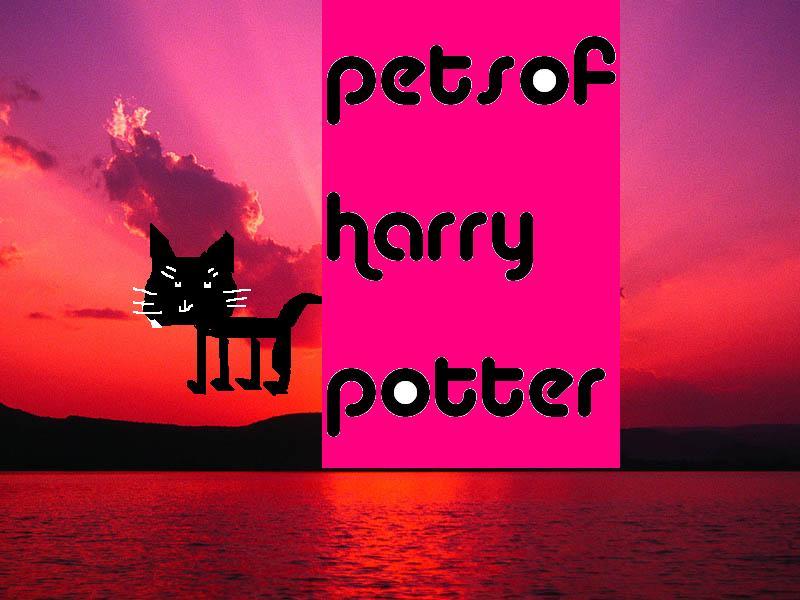 what harry potter animal will you bring to hogwarts?