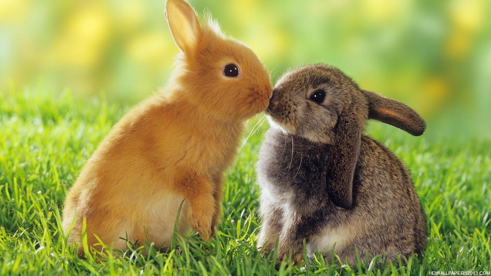 Which imaginary animal are you most like ._. Which imaginary animal are you most like ._.
