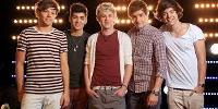 Which boy is perfect for you in 1D?