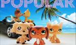 Which LPS Popular character are you? (1)