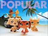 Which LPS Popular character are you? (1)