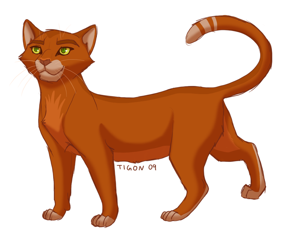 Which of My Warrior Cats Are YOU?