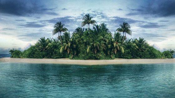 The curse of the island - Would you survive? The curse of the island - Would you survive?