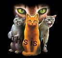 What Warrior Cats Clan Are You In? (3)