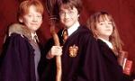 Who are you: Harry, Ron or Hermoine?