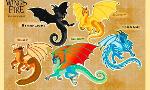 What wings of fire character are you?