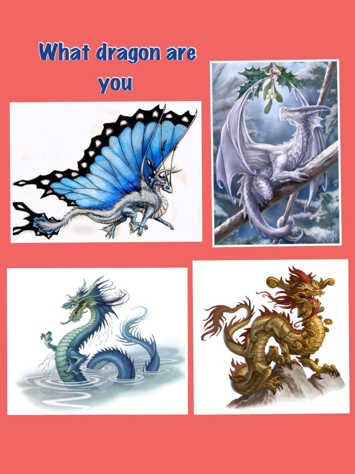 What dragon are you? (1) Personality Quiz