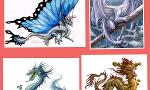 What dragon are you? (1)