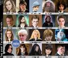 What do the Harry Potter Characters Think of you?