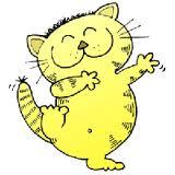 Cat or Kitten Cat or Kitten