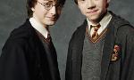Are you Harry Potter or Ron Weasley?