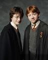 Are you Harry Potter or Ron Weasley?