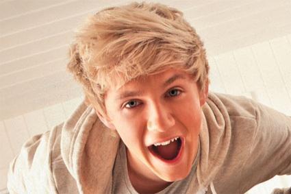 Would Niall like you and maybe date you?