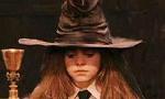Harry Potter Sorting hat!