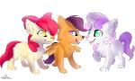 Are you a pegasister/brony?