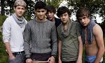 One Direction Quiz (3)