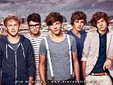 wich one direction boy is your future husband?