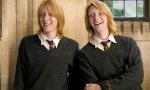 How much do you know about the Weasleys?
