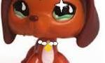 What character from lps popular are you?