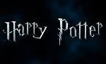 Which harry potter character are you? (8)