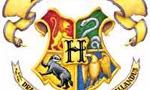 What Hogwarts House Would you be in?