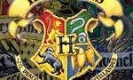 Which Hogwarts house would you be in? (2)