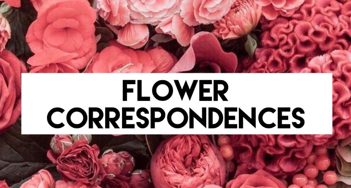 Flower Correspondences