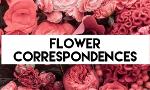 Flower Correspondences