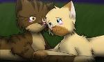 Warrior cats What Tigerstar and Shasha cat are you?