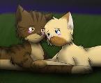 Warrior cats What Tigerstar and Shasha cat are you?