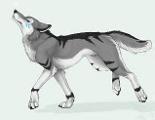 Would Silverstorm(my imaginary pet wolf) like you?