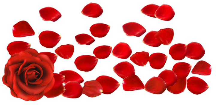 Rose Petals (Sonic, Shadow, Silver wwffy) Rose Petals (Sonic, Shadow, Silver wwffy)