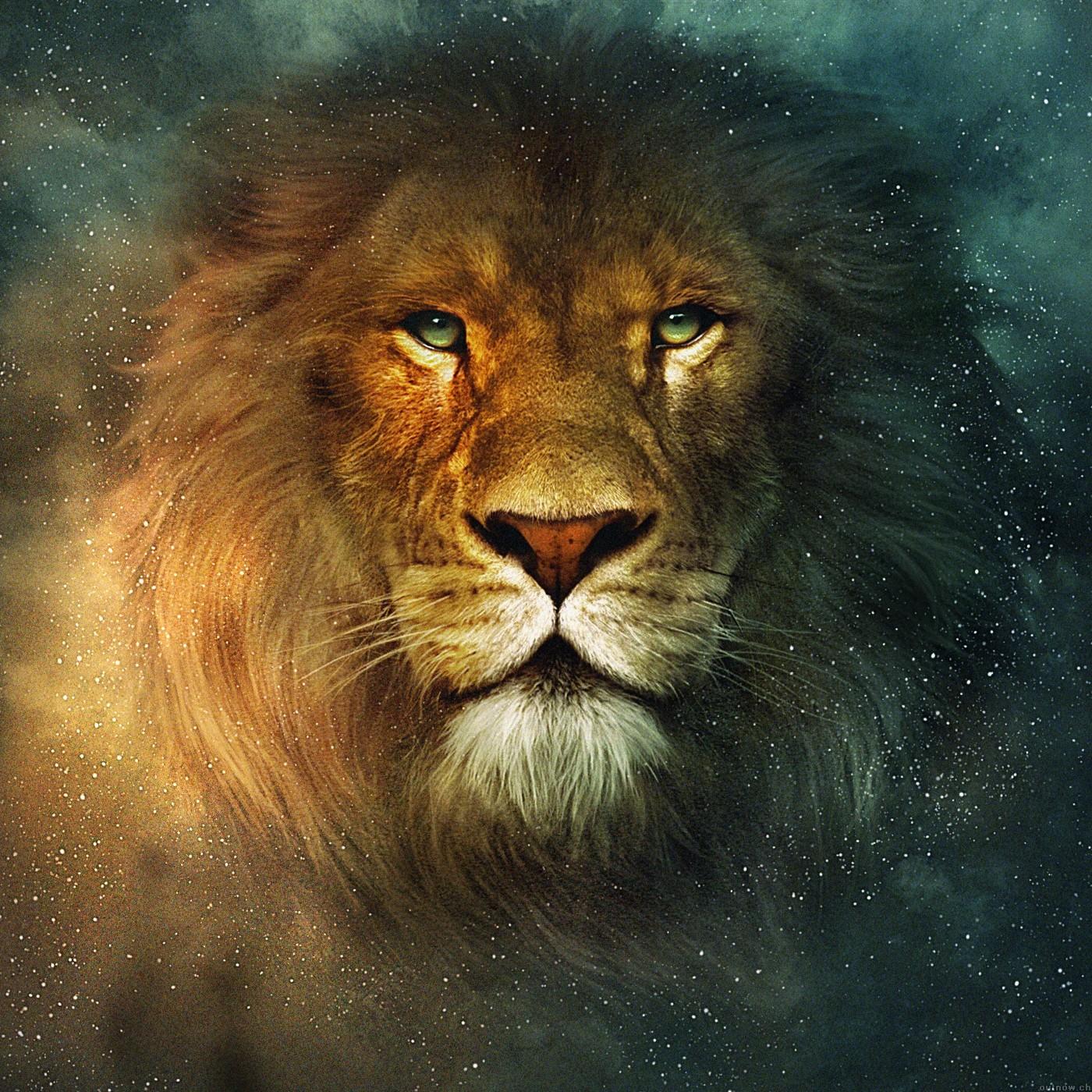Your Future wild Pet Your Future wild Pet
