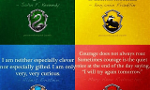 What is your Hogwarts House? (2)