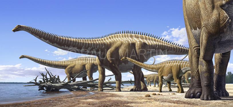 What dinosaur are you? (2) What dinosaur are you? (2)