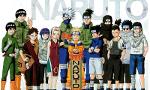 what do you know about Naruto (1)
