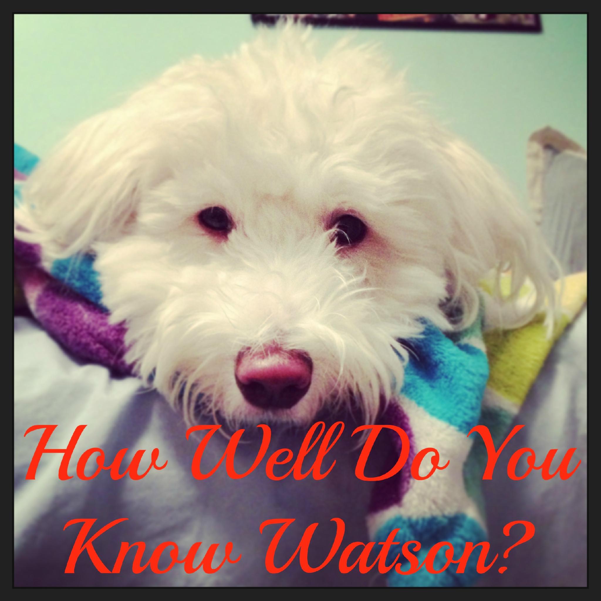 Do You Really Know Watson?