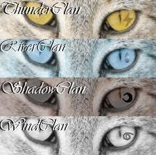 What Warrior Cats Clan Are You In? (1)