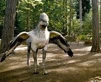 what color hippogriff are you?