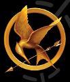who are you from the hunger games (1)