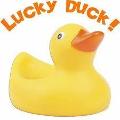 Are you a Lucky Duck?