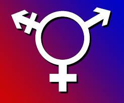 Are You A Lesbian, Bisexual, Or Straight? Are You A Lesbian, Bisexual, Or Straight?