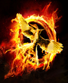 Hunger Games (THE ULTIMATE QUIZ) *Spoiler Alert!!!* (1)