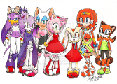 Which Sonic girl character are you?