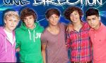 one direction quiz?(for fans)