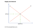 Supply and Demand: Economics Quiz